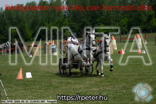 Mintakép 20260531-2795