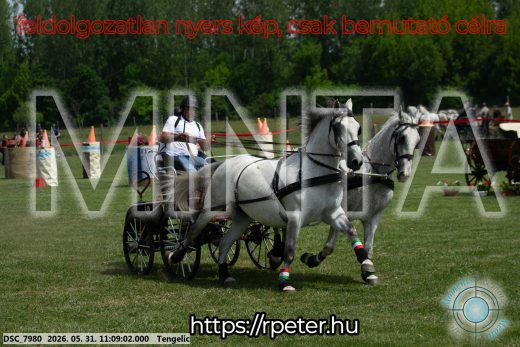 Mintakép 20260531-2796