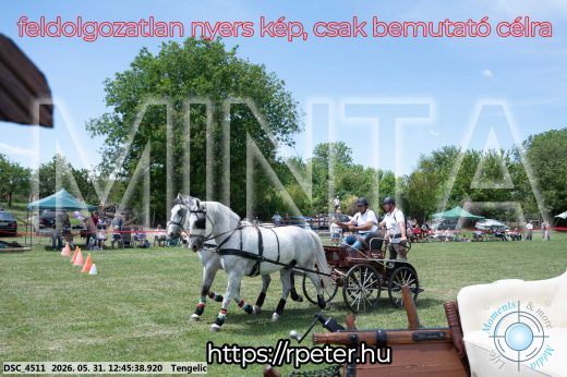 Mintakép 20260531-2798