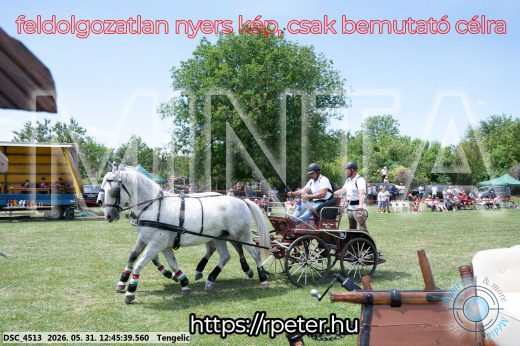 Mintakép 20260531-2799