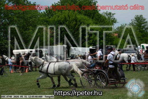 Mintakép 20260531-2800