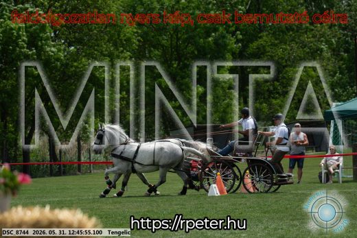 Mintakép 20260531-2804