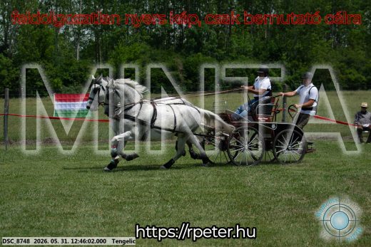 Mintakép 20260531-2806