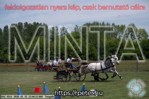 Mintakép 20260531-2808