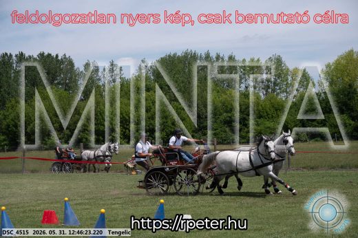 Mintakép 20260531-2809