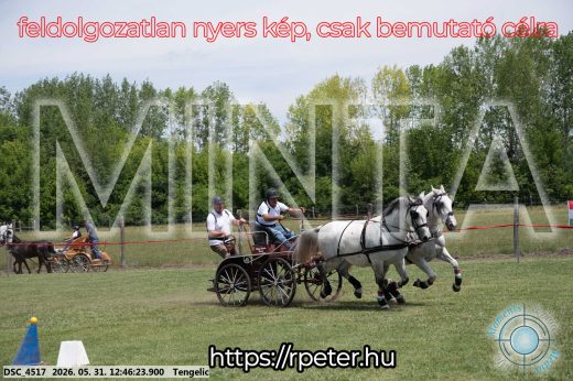 Mintakép 20260531-2811