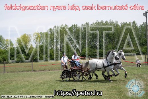 Mintakép 20260531-2813