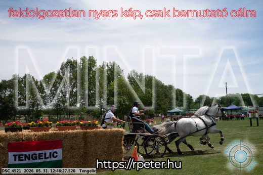 Mintakép 20260531-2815