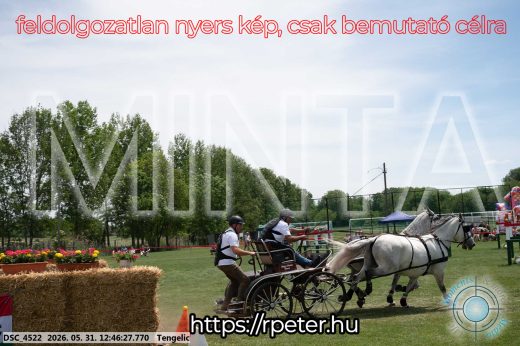 Mintakép 20260531-2816