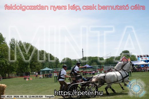 Mintakép 20260531-2817