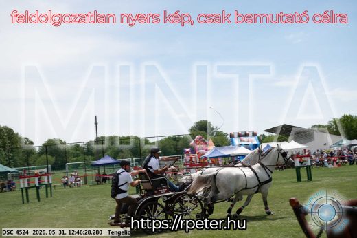Mintakép 20260531-2818