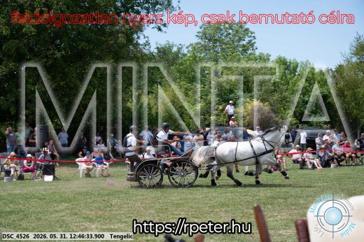 Mintakép 20260531-2821