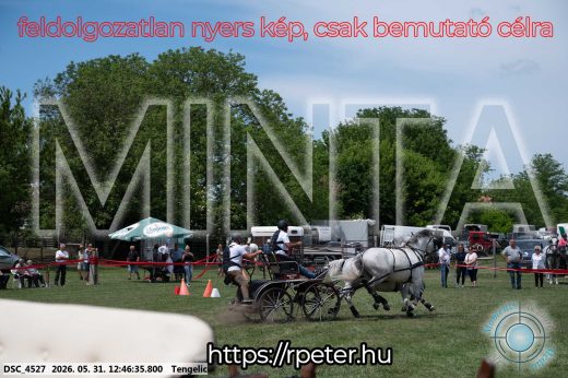 Mintakép 20260531-2822