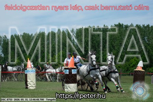 Mintakép 20260531-2823