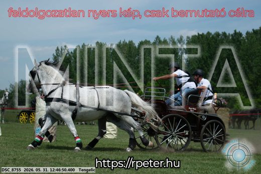 Mintakép 20260531-2825