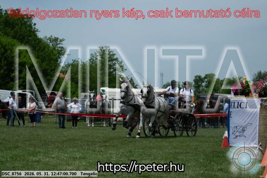 Mintakép 20260531-2826
