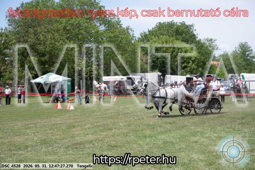 Mintakép 20260531-2829
