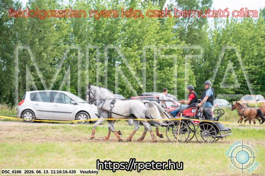 Mintakép 20260613-338