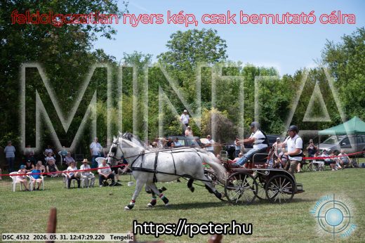 Mintakép 20260531-2833