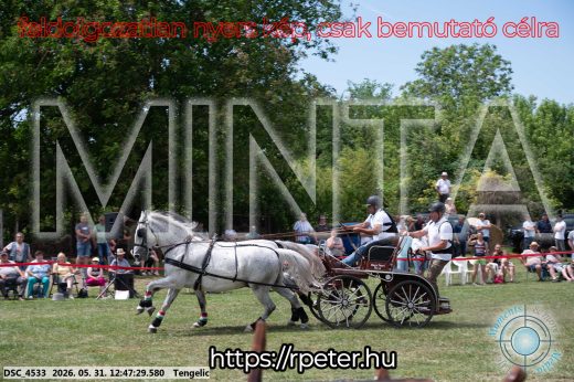 Mintakép 20260531-2834
