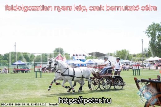 Mintakép 20260531-2835