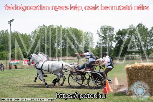 Mintakép 20260531-2837