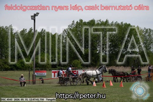 Mintakép 20260531-2840