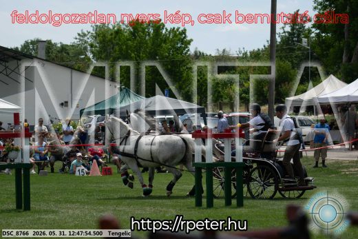 Mintakép 20260531-2841
