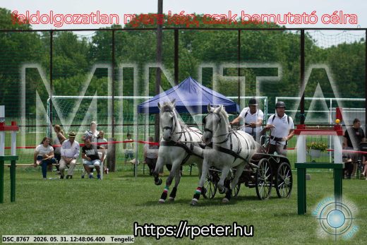 Mintakép 20260531-2842