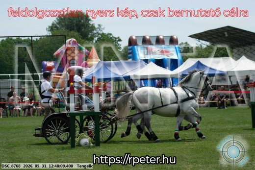 Mintakép 20260531-2843