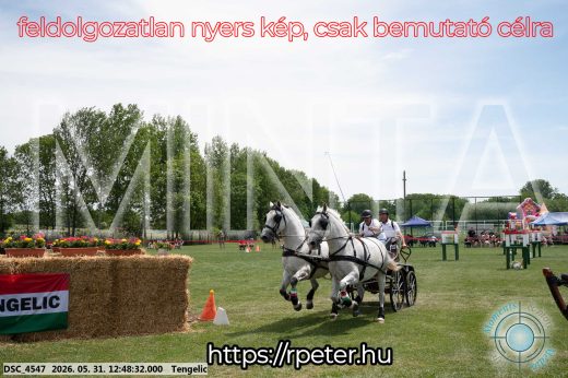 Mintakép 20260531-2844