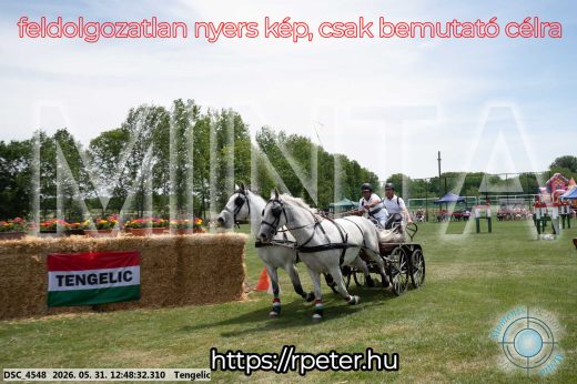 Mintakép 20260531-2845