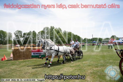 Mintakép 20260531-2846