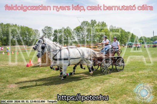 Mintakép 20260531-2847