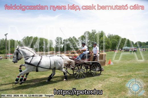 Mintakép 20260531-2848