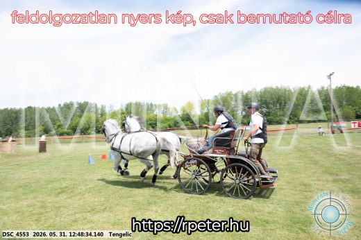 Mintakép 20260531-2849