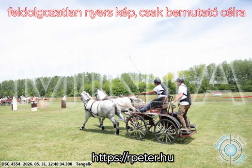 Mintakép 20260531-2850
