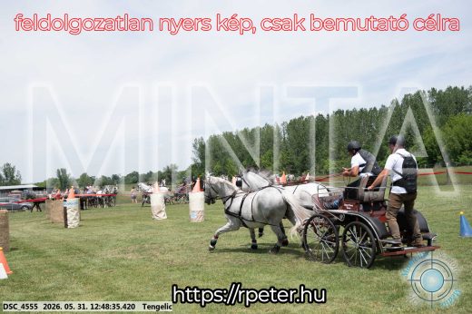 Mintakép 20260531-2851