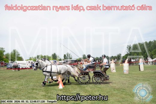 Mintakép 20260531-2852