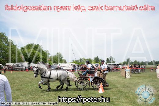 Mintakép 20260531-2853