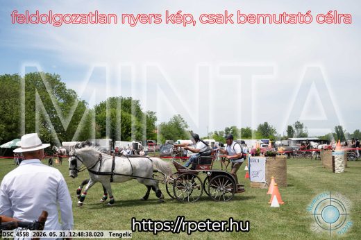 Mintakép 20260531-2854