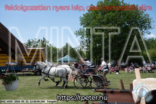 Mintakép 20260531-2855