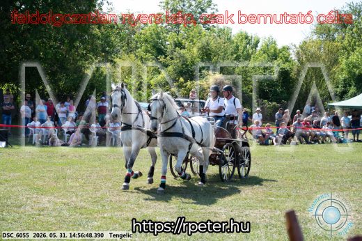 Mintakép 20260531-2856