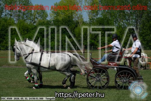 Mintakép 20260531-2858