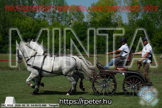 Mintakép 20260531-2859
