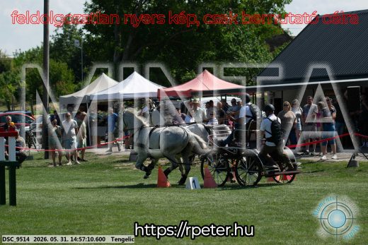 Mintakép 20260531-2860
