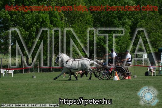 Mintakép 20260531-2862