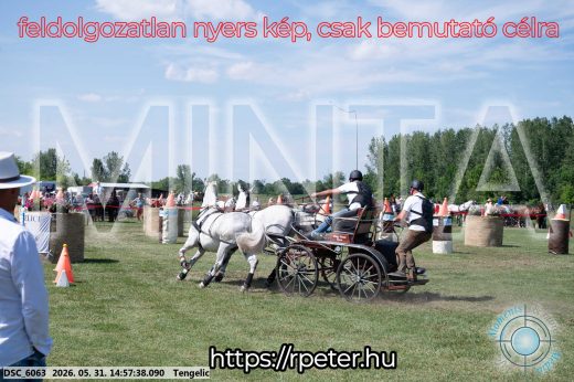 Mintakép 20260531-2865