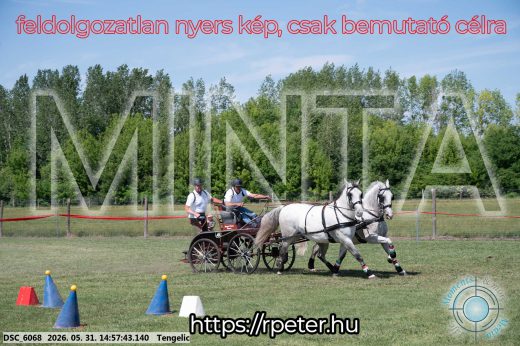 Mintakép 20260531-2867