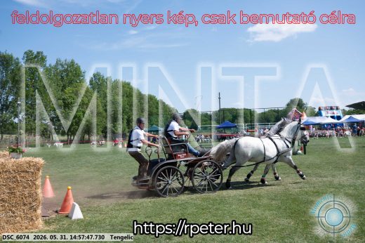 Mintakép 20260531-2868